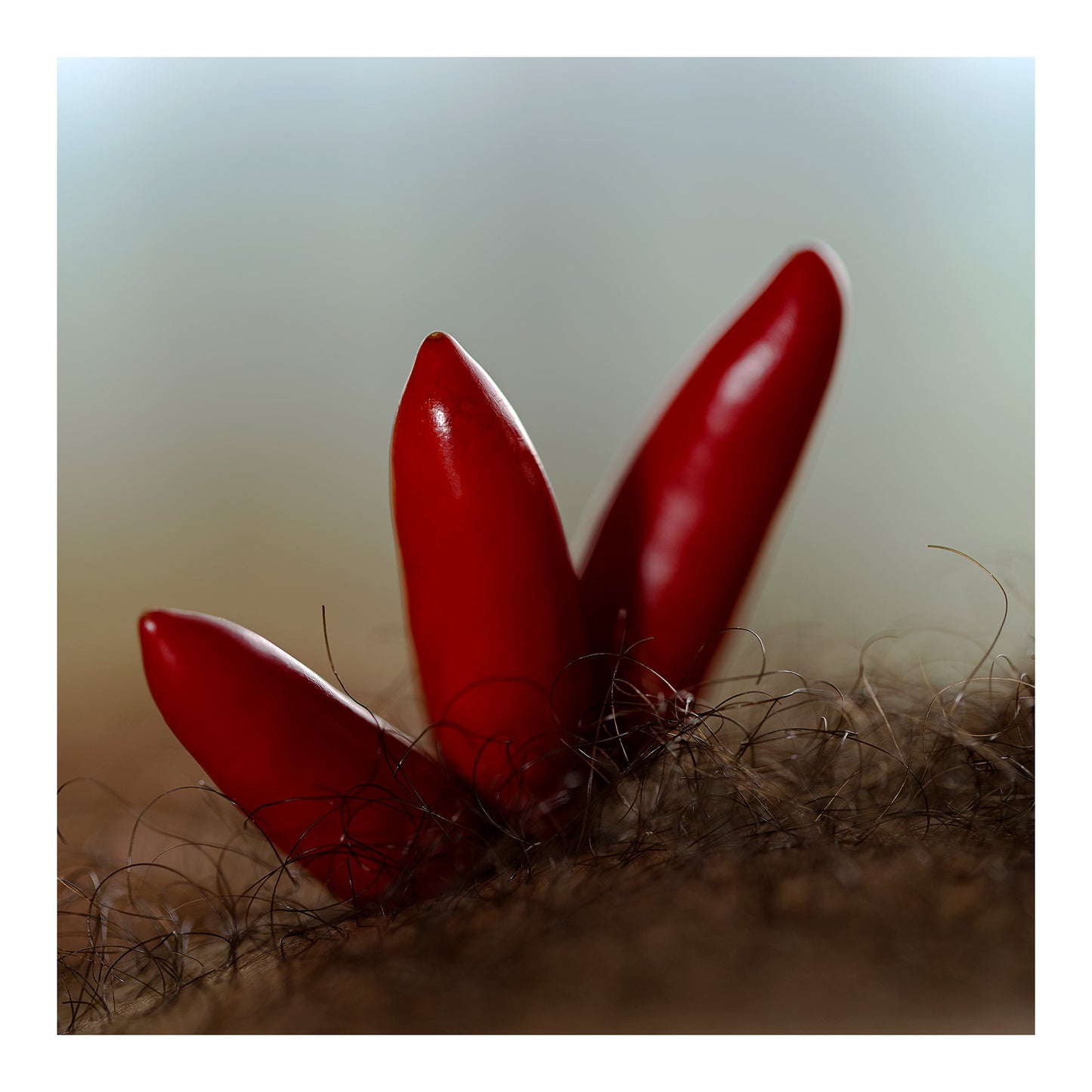 Narrative Works - Lost in the Bush - Spice Bush - 60x60cm Square (#182616)