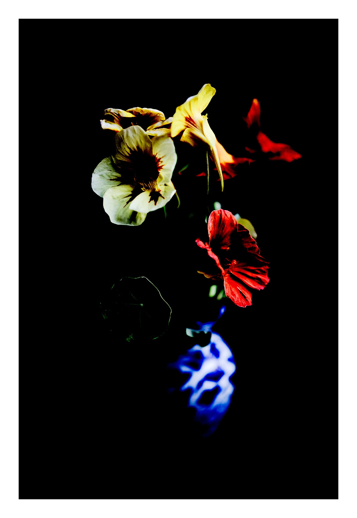 Still Life - Flowers in a Vase Bonny Hills - 60x90cm Vertical (#254226v18)