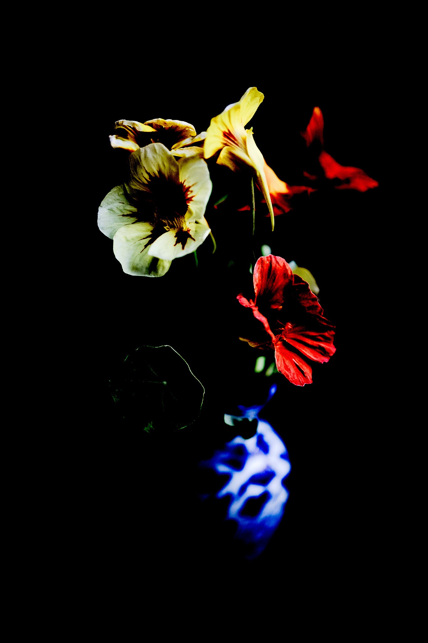 Still Life - Flowers in a Vase Bonny Hills - 60x90cm Vertical (#254226v18)