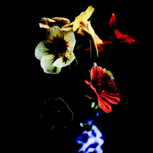 Still Life - Flowers in a Vase Bonny Hills - 60x90cm Vertical (#254226v18)