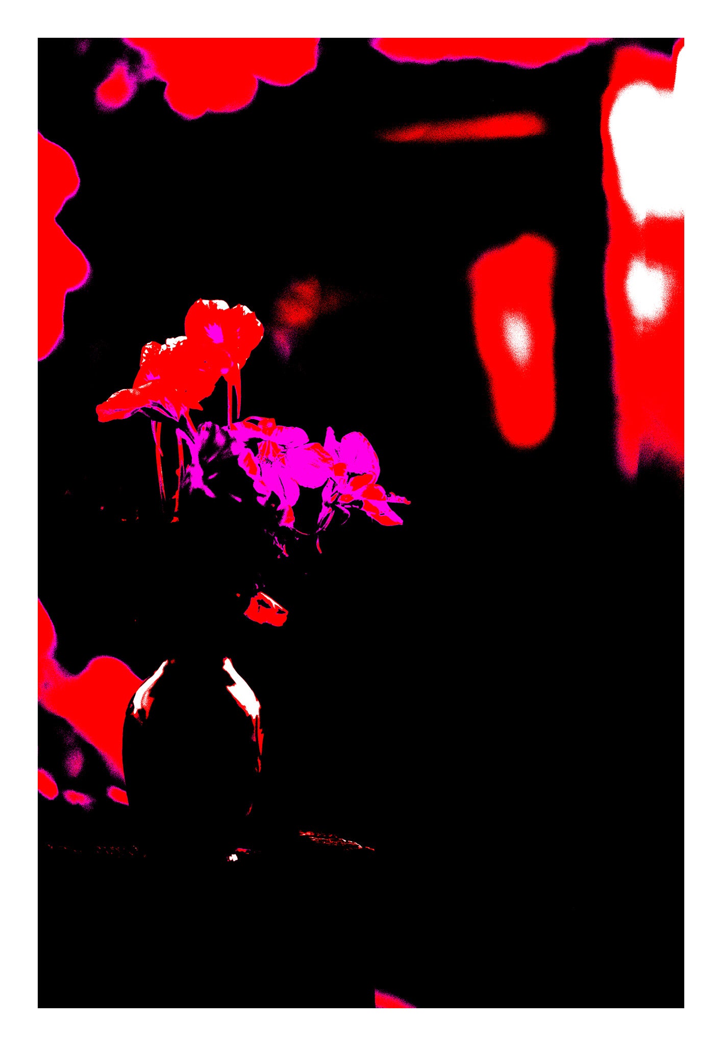 Still Life - Flowers in a Vase Bonny Hills  - 60x90cm Vertical (#254234v3)