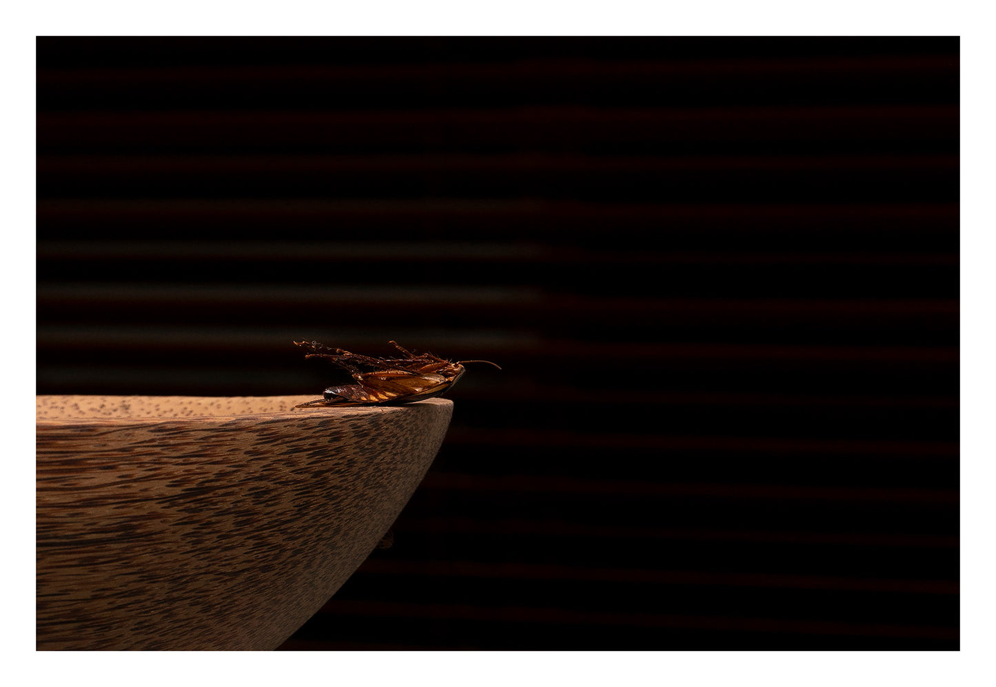 Still Life - Miss Me - 90x60cm Horizontal (#219464v3)