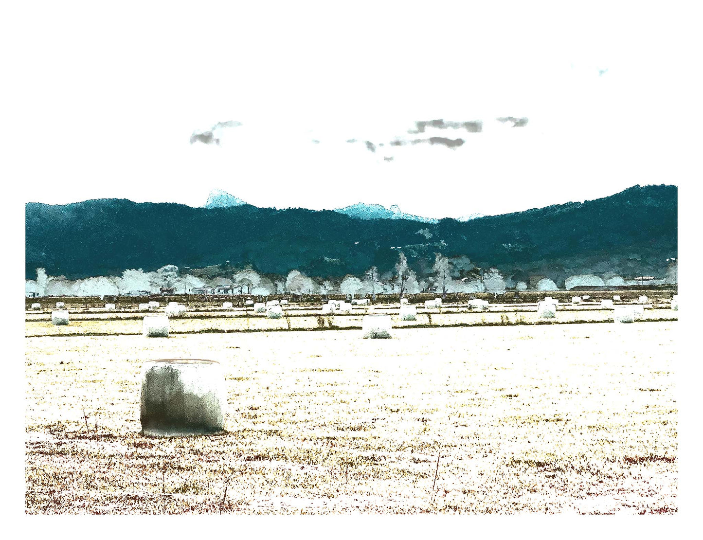 Vivid Country - Murwillumbah - The Daily Drive - Cane Rd - Hay Bales - 90x67.5cm  Horizontal (#197346v8)