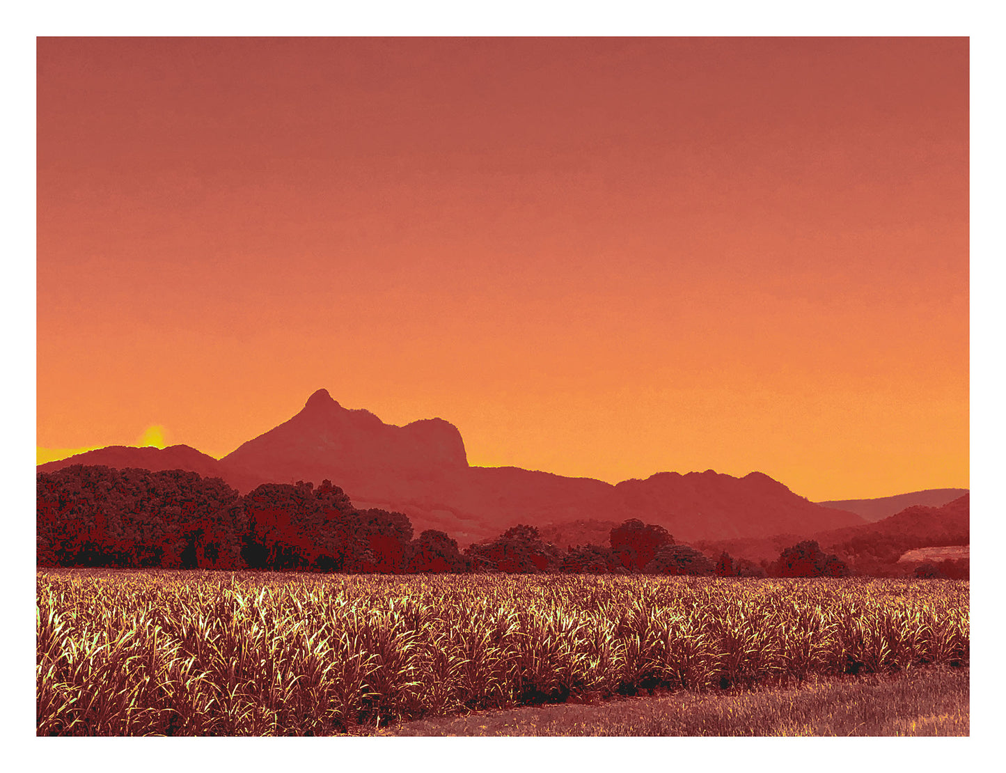 Vivid Country - Murwillumbah - The Daily Drive - Canefields - Wollumbin - 90x67.5cm Horizontal (#196484v1012a)