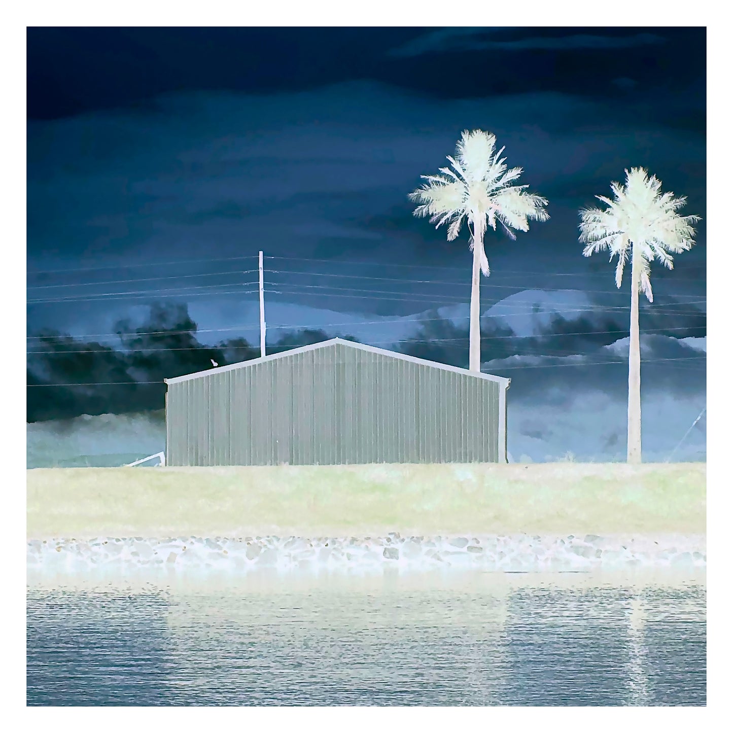 Vivid Country - Murwillumbah - The Daily Drive - Condong Palms Shed - 90x90cm Square (#197584v9)