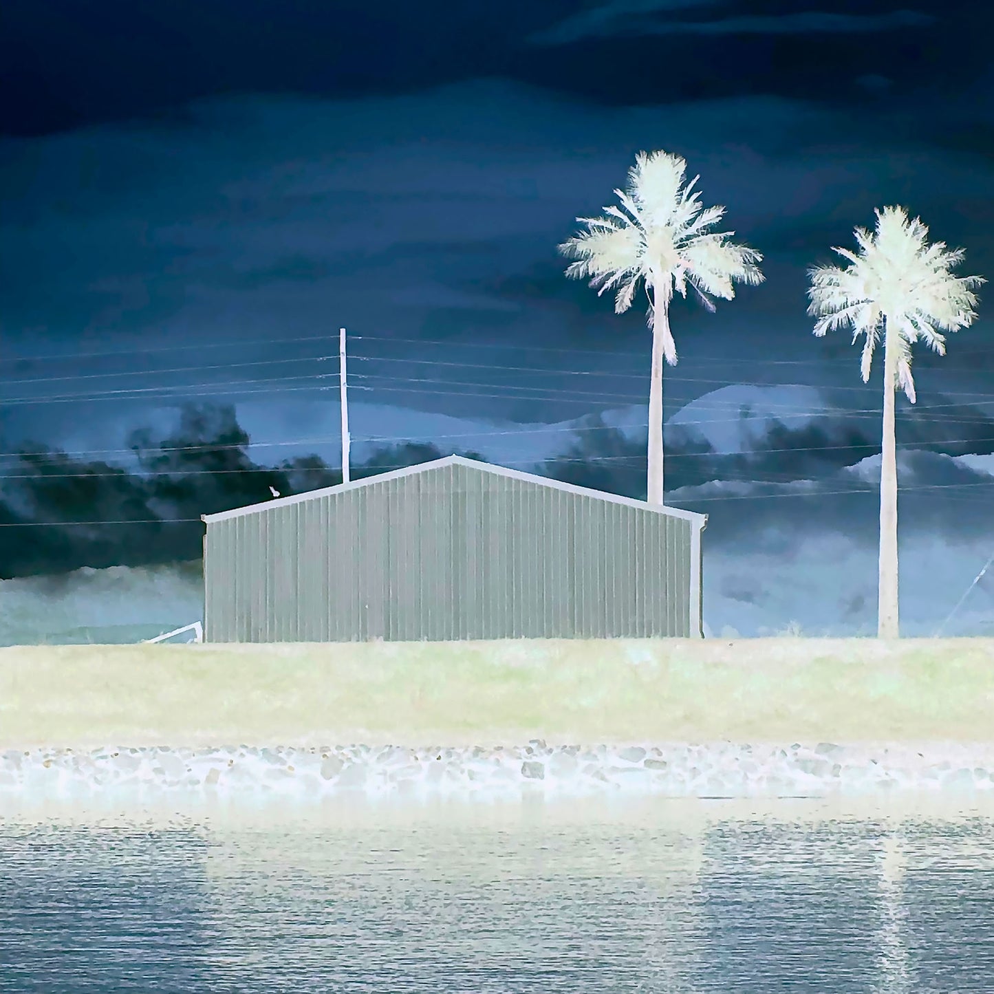 Vivid Country - Murwillumbah - The Daily Drive - Condong Palms Shed - 90x90cm Square (#197584v9)