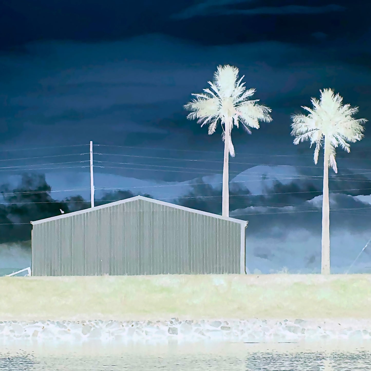 Vivid Country - Murwillumbah - The Daily Drive - Condong Palms Shed - 90x90cm Square (#197584v9)