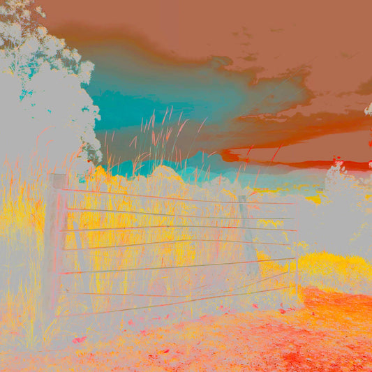 Vivid Country - Murwillumbah - The Daily Drive - Gate Wollumbin - 90x67.5cm Horizontal (#185515vE1)