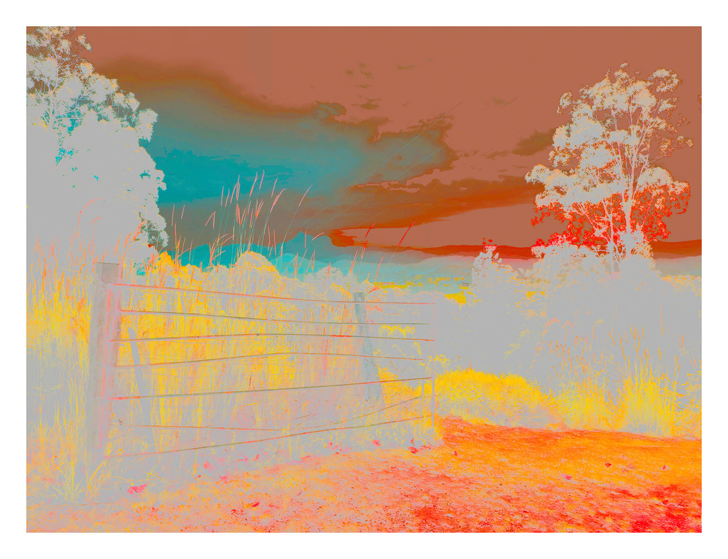 Vivid Country - Murwillumbah - The Daily Drive - Gate Wollumbin - 90x67.5cm Horizontal (#185515vE1)