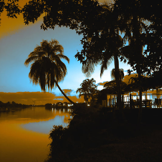 Vivid Country - Murwillumbah - The Daily Drive - River Palm - 67.5x90cm Vertical (#197229v9)