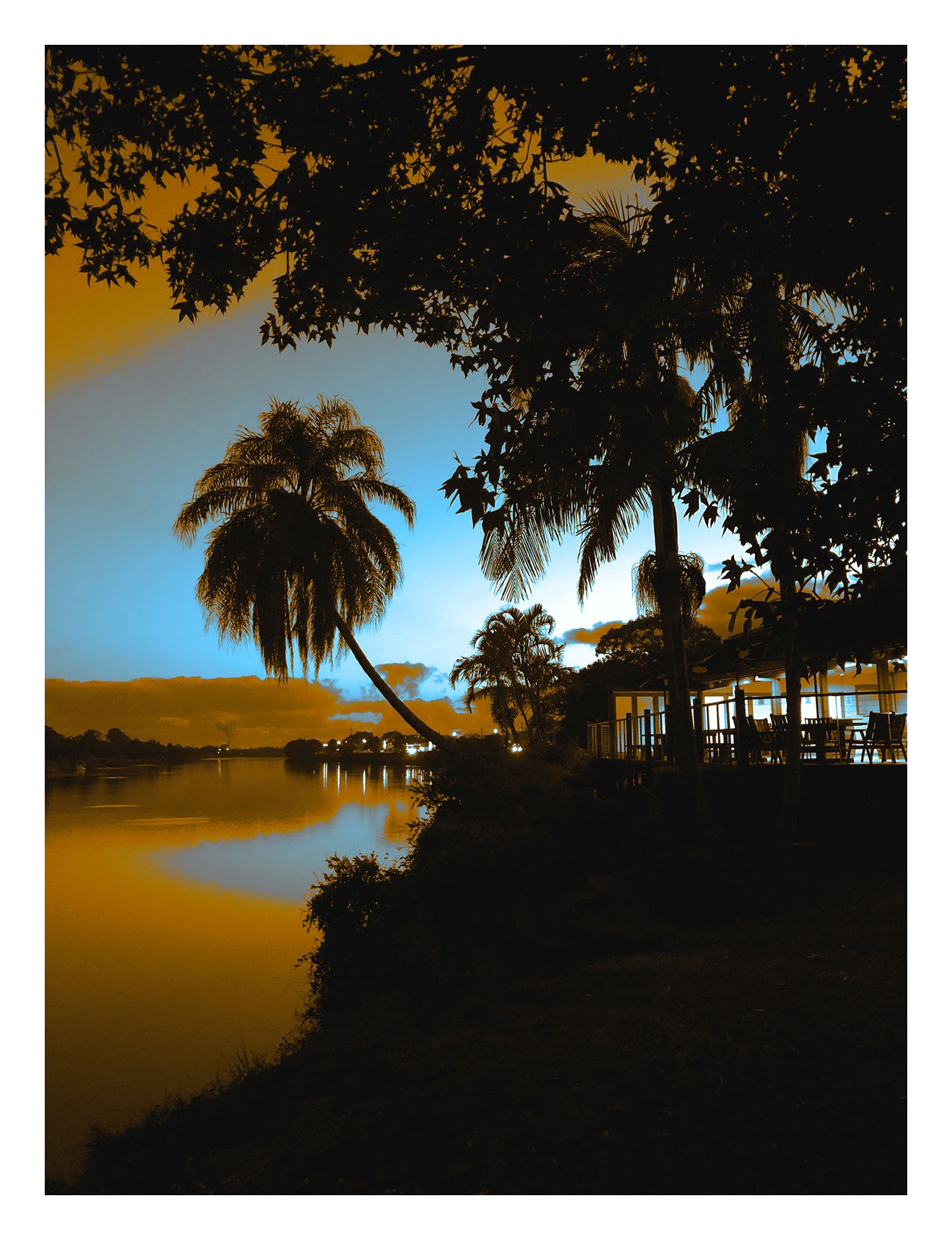 Vivid Country - Murwillumbah - The Daily Drive - River Palm - 67.5x90cm Vertical (#197229v9)