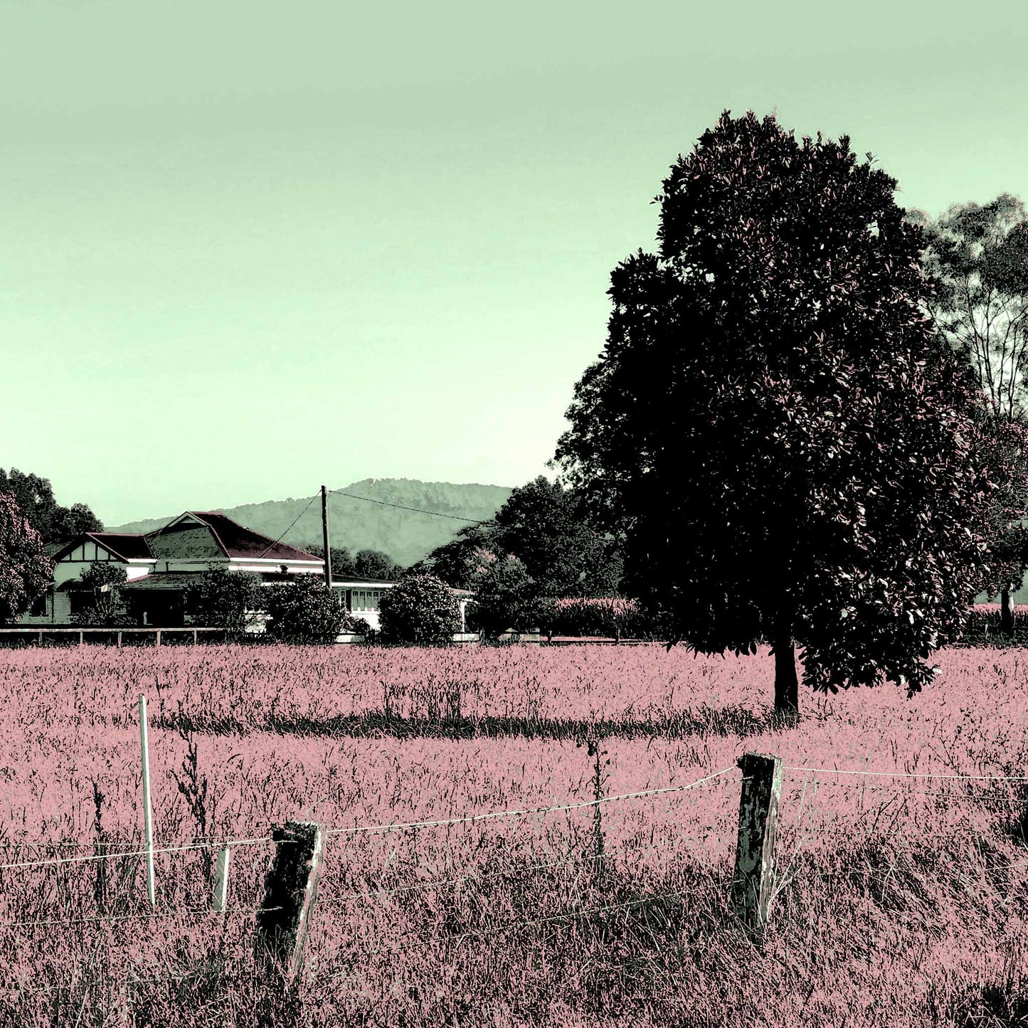 Vivid Country - Murwillumbah - The Daily Drive - Tumbulgum Rd - 90x67.5cm Horizontal (#198335v147)