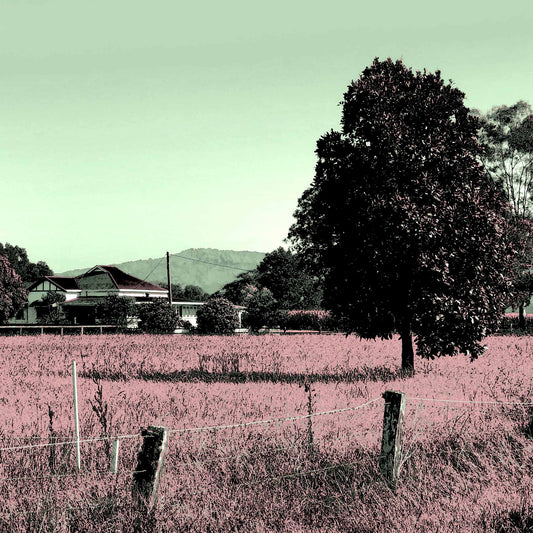 Vivid Country - Murwillumbah - The Daily Drive - Tumbulgum Rd - 90x67.5cm Horizontal (#198335v147)