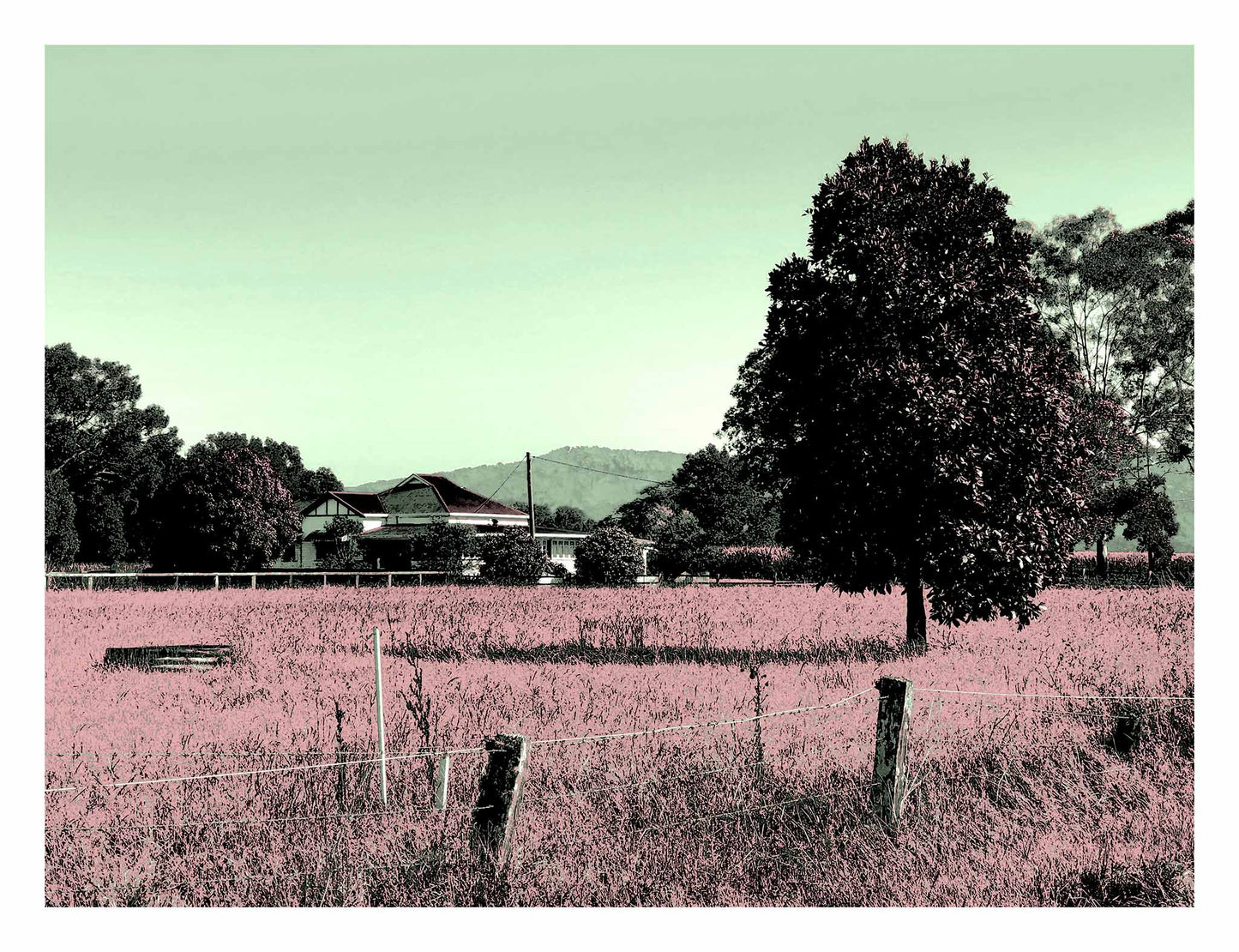 Vivid Country - Murwillumbah - The Daily Drive - Tumbulgum Rd - 90x67.5cm Horizontal (#198335v147)