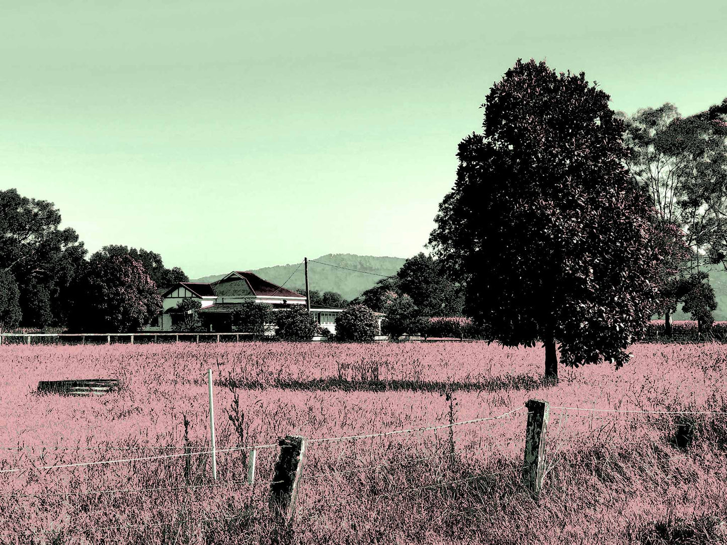Vivid Country - Murwillumbah - The Daily Drive - Tumbulgum Rd - 90x67.5cm Horizontal (#198335v147)