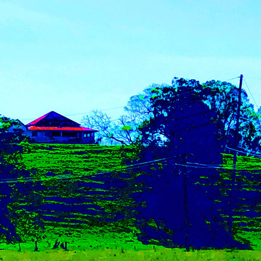 Vivid Country - Murwillumbah - The Daily Drive - Tumbulgum Rd - 90x67.5cm Horizontal (#198353v10)