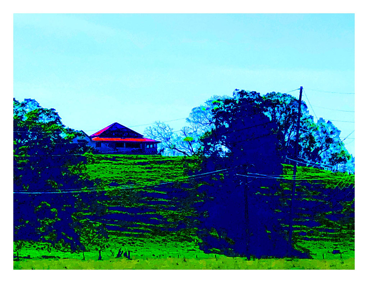 Vivid Country - Murwillumbah - The Daily Drive - Tumbulgum Rd - 90x67.5cm Horizontal (#198353v10)