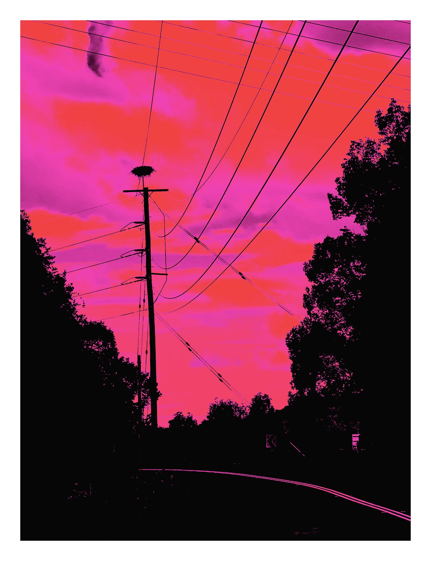 Vivid Country - Murwillumbah - The Daily Drive - Tumbulgum Rd - Birds Nest - 67.5x90cm Vertical (#197376v8)