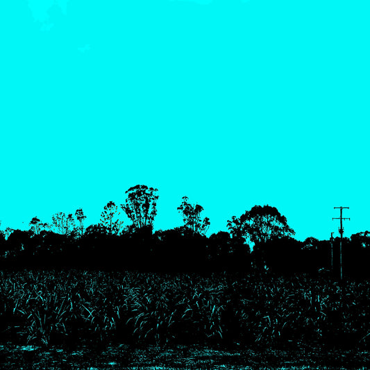 Vivid Country - Murwillumbah - The Daily Drive - Tumbulgum Rd - Field - 90x67.5cm Horizontal (#197328v8)