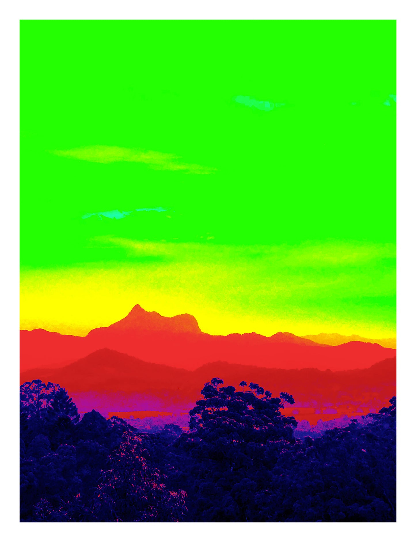 Vivid Country - Murwillumbah - The Daily Drive - Wollumbin View - 67.5x90cm Vertical (#198303v25)