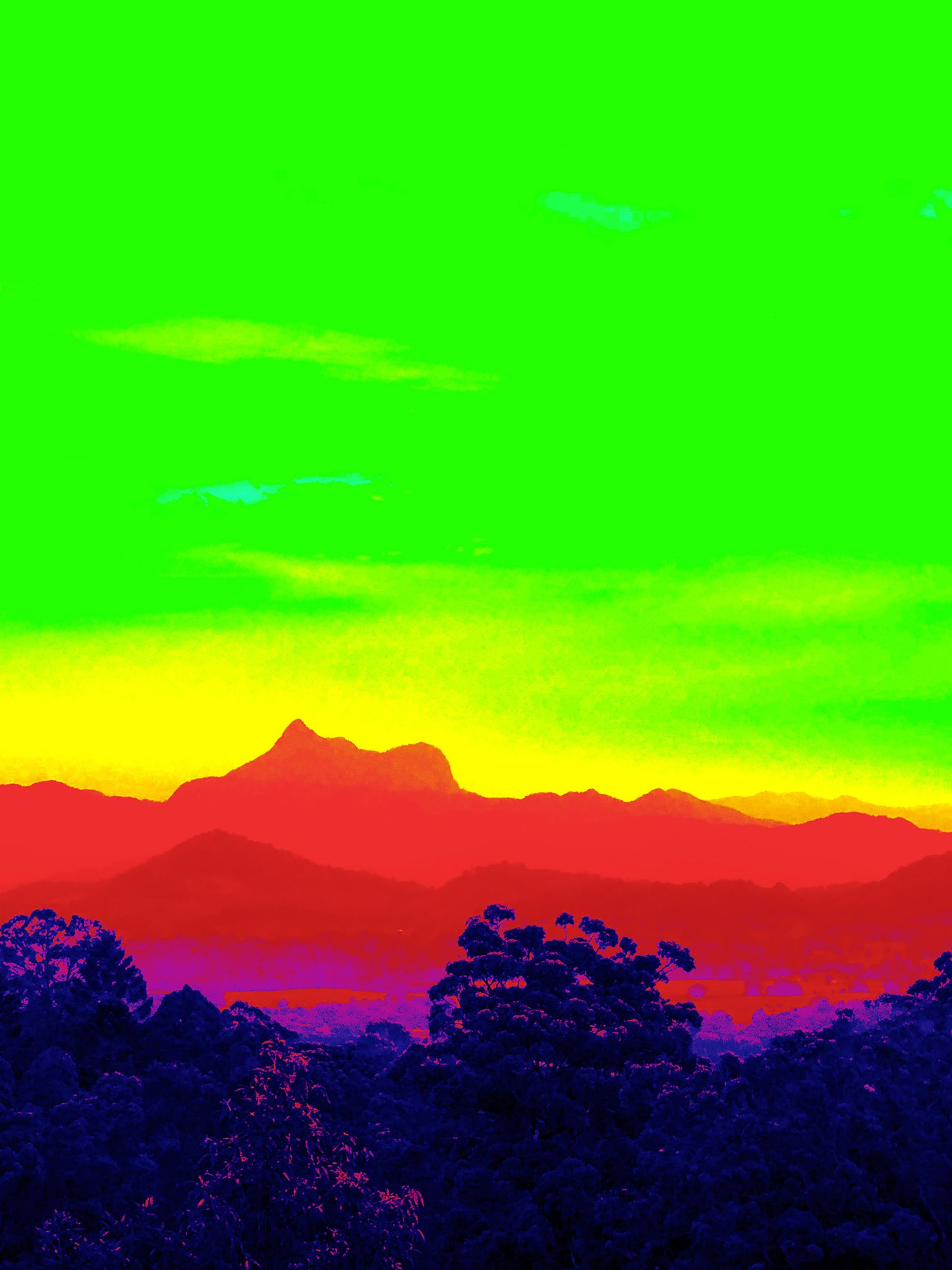 Vivid Country - Murwillumbah - The Daily Drive - Wollumbin View - 67.5x90cm Vertical (#198303v25)