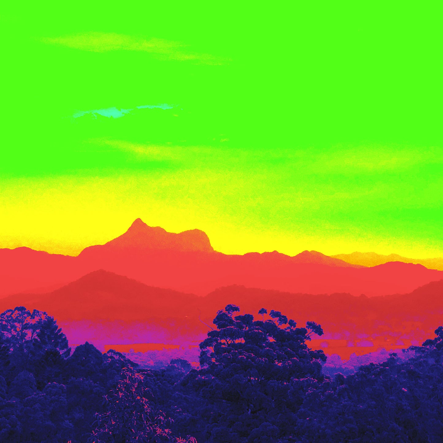 Vivid Country - Murwillumbah - The Daily Drive - Wollumbin View - 67.5x90cm Vertical (#198303v25)