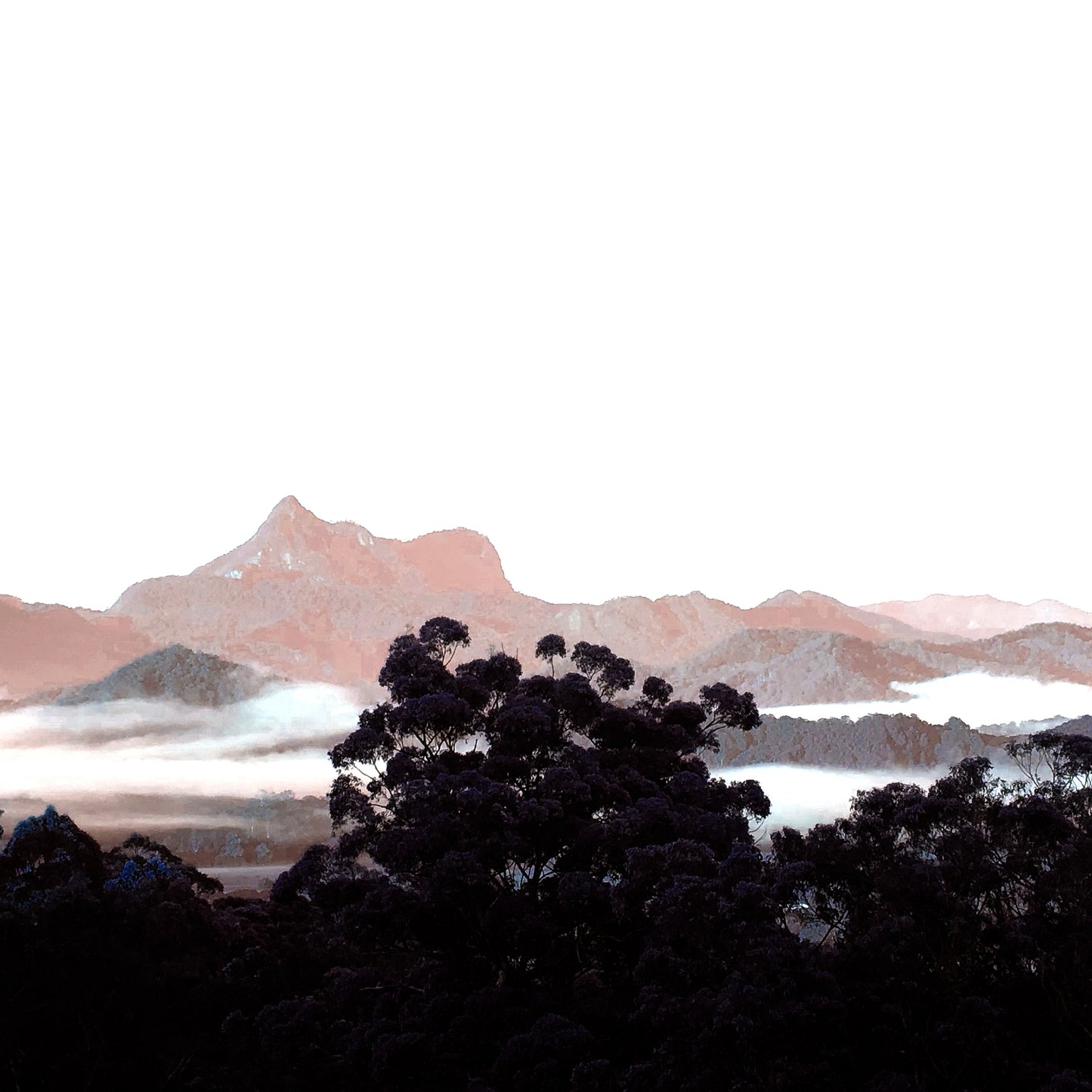 Vivid Country - Murwillumbah - The Daily Drive - Wollumbin View - 90x67.5cm Horizontal (#198322v30)