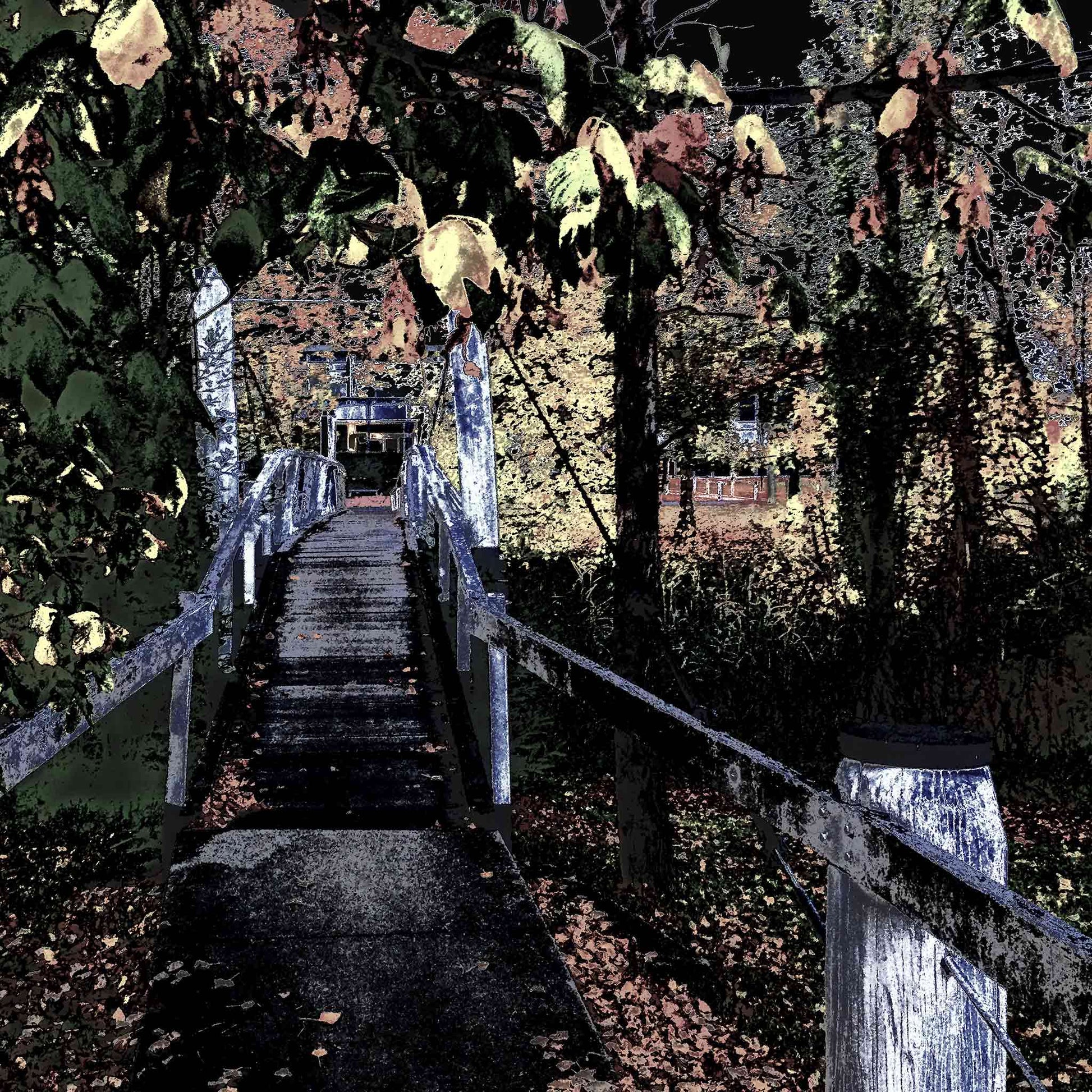 Vivid Country - Armidale Leaves Albion Park Pedestrian Bridge - 2319v21a - Close Detail View, a stylised image of a narrow pedestrian bridge in Armidale, framed by dense overhanging foliage in autumn tones. The perspective leads into a quiet distance with filtered light, highlighting the interplay of structure, leaves, and shadow.