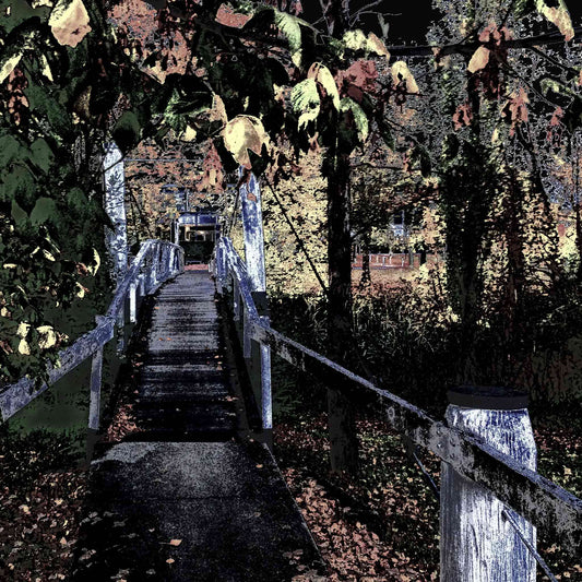 Vivid Country - Armidale Leaves Albion Park Pedestrian Bridge - 2319v21a - Close Detail View, a stylised image of a narrow pedestrian bridge in Armidale, framed by dense overhanging foliage in autumn tones. The perspective leads into a quiet distance with filtered light, highlighting the interplay of structure, leaves, and shadow.