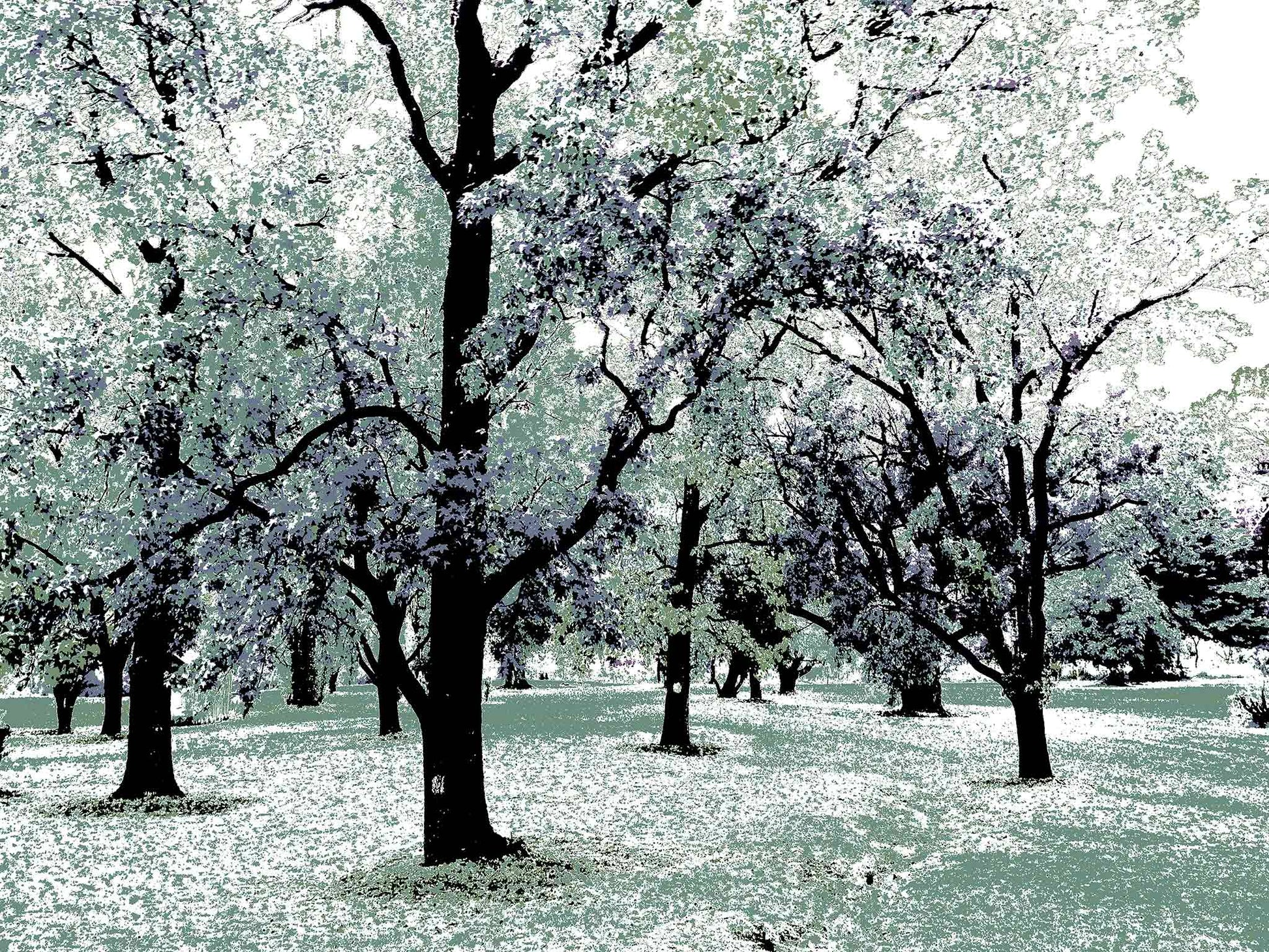 Vivid Country - Armidale Leaves Trees Park - 2302v20 - 90x67.5cm, a grove of tall trees with outstretched branches in pastel tones of mint, lavender, and charcoal, evoking a dreamlike woodland scene.