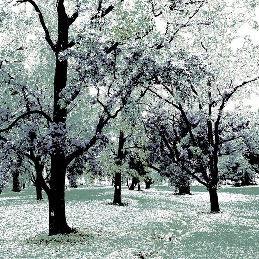 Vivid Country - Armidale Leaves Trees Park - 2302v20 - Close Detail View, a grove of tall trees with outstretched branches in pastel tones of mint, lavender, and charcoal, evoking a dreamlike woodland scene.