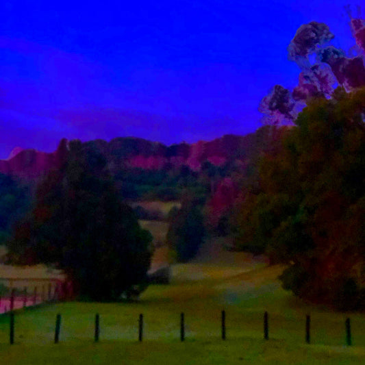 Vivid Country - Bilambil Horse Paddock - 3788a - Close Detail View, a soft-focus rural paddock at dawn with silhouetted trees, distant hills glowing in magenta tones, and a vibrant indigo sky, evoking a dreamlike Australian hinterland.