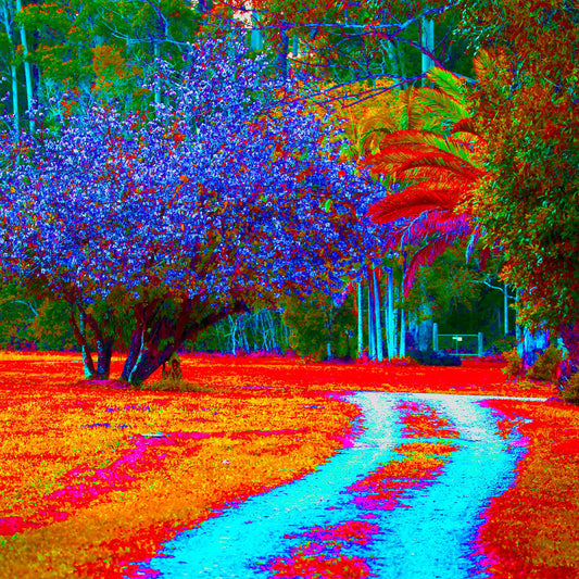 Vivid Country - Bucca Swans Rd Driveway - 8226v5 - Close Detail View, a brightly coloured country driveway winds past a blooming Pink Crepe Myrtle, vivid tropical trees, and richly toned foliage in radiant blues, reds, and oranges.