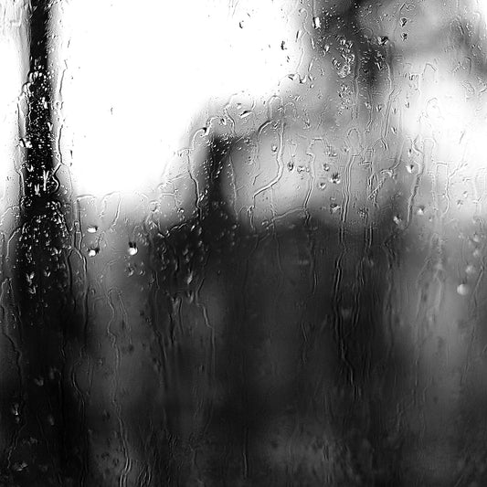 Coastal Noir 7929 - Close Detail View, black and white coastal scene of trees softened through rain-streaked glass, abstract minimalist fine art print.