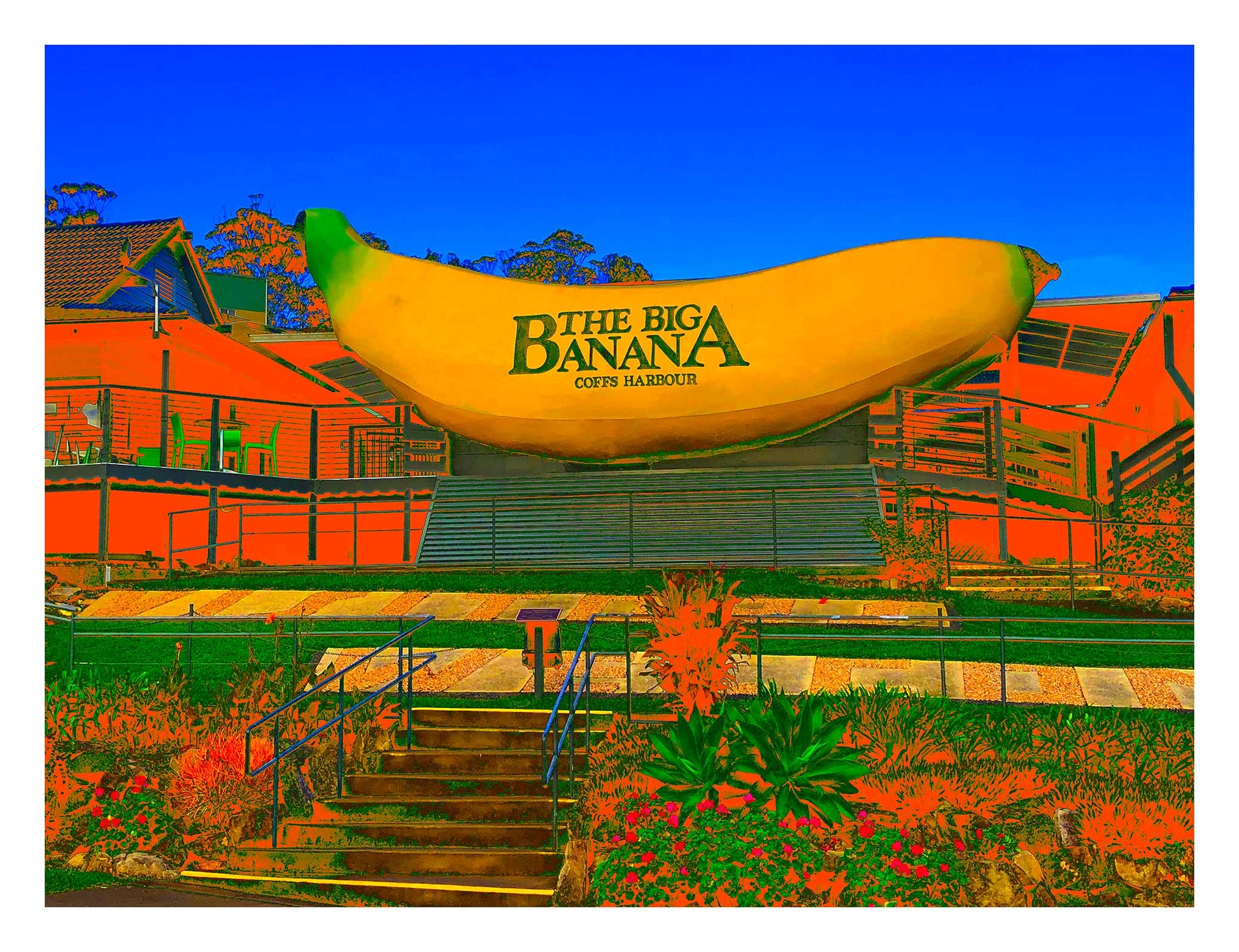 Vivid Country - Coffs Harbour Big Banana - 2173v56a - 104x81.5cm, a vibrant Pop Art interpretation of the iconic Big Banana roadside attraction, set against a bright blue sky with exaggerated orange and green foreground.