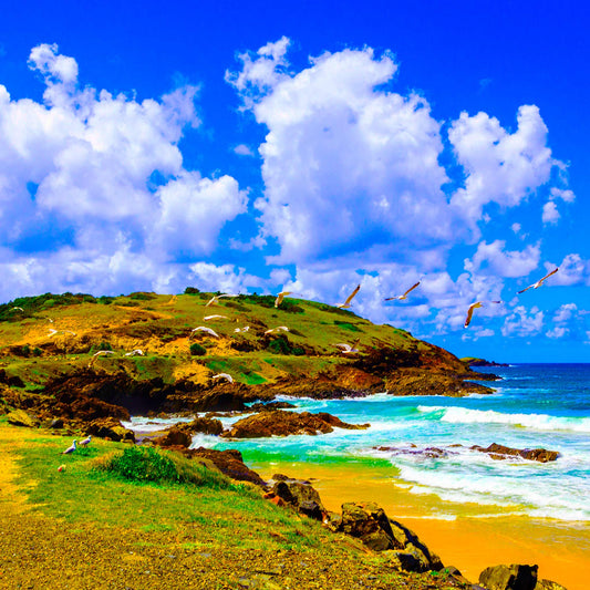 Vivid Country - Coffs Harbour Gallows Beach & Corambirra Point - 1203-2v6 - Close Detail View, a vibrant coastal landscape with soaring seagulls, a rocky headland, vivid blue ocean, and golden sands beneath a bright cloud-filled sky.