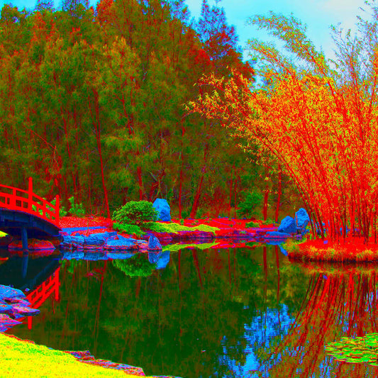 Vivid Country - Coffs Harbour Japanese Gardens - 7767v13 - Close Detail View, a vivid pop-style artwork featuring a red bridge, golden bamboo, and still water in a stylised Japanese garden setting, with bright reflections and bold contrasting colour.