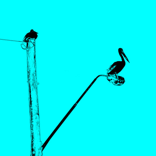 Vivid Country - Coffs Harbour Pelican Lamp Post - 6157v34b - Close Detail View, a stylised turquoise sky sets the scene for a black silhouetted pelican perched on a streetlamp, with a second bird on a nearby pole, minimalist coastal urban wildlife in pop-art form.