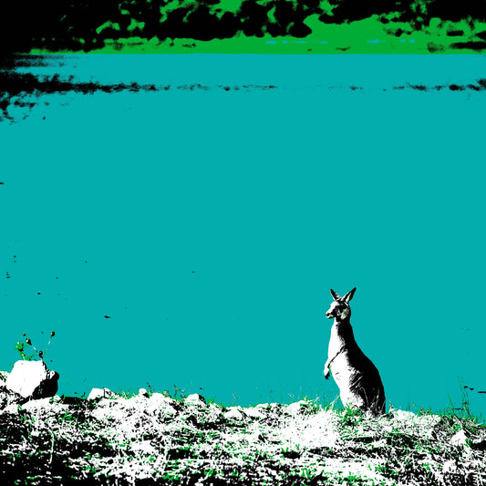 Vivid Country - Copeton Dam Kangaroo - 5130v13a - Close Detail View, a solitary kangaroo stands alert at the edge of a vividly turquoise dam, its silhouette bathed in high-contrast Pop Art tones, reflecting the wild essence of inland Australia.