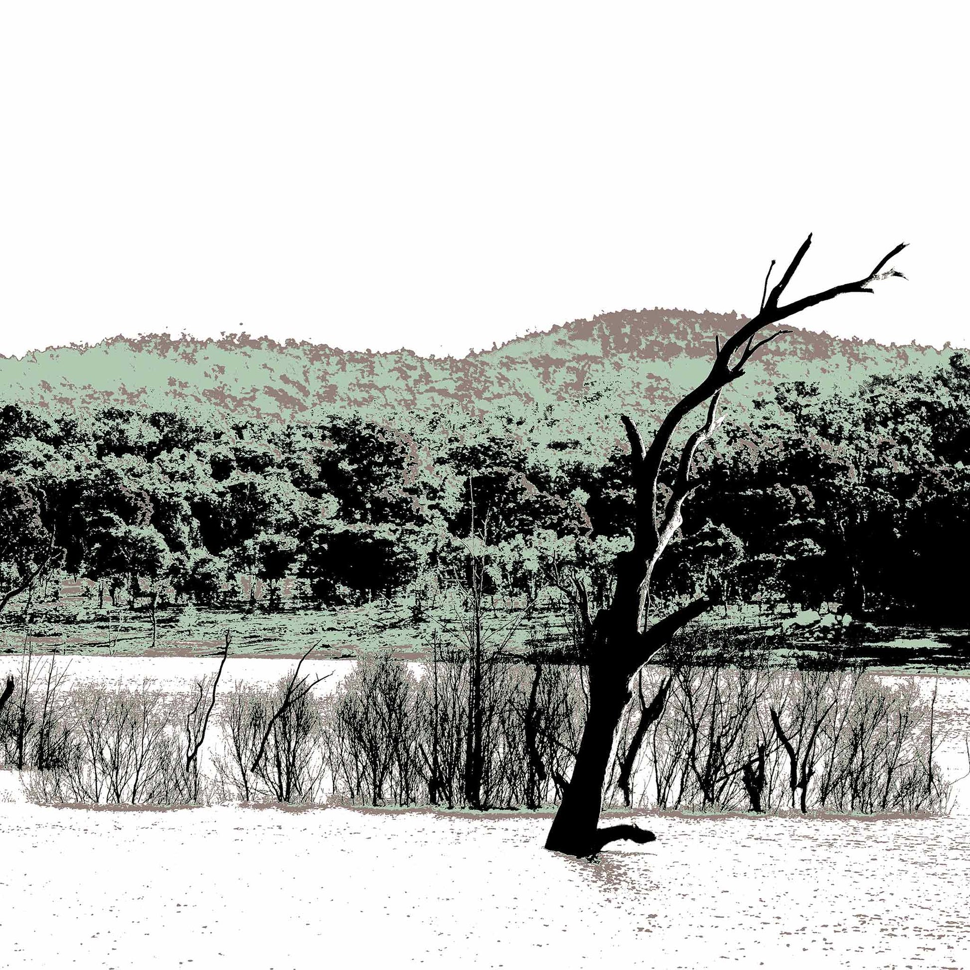 Vivid Country - Copeton Dam Water View - 5154v25 - Close Detail View, a solitary dead tree stands in still water before a muted bushland ridge under a wide open sky in this evocative Australian landscape print.