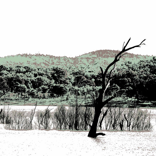 Vivid Country - Copeton Dam Water View - 5154v25 - Close Detail View, a solitary dead tree stands in still water before a muted bushland ridge under a wide open sky in this evocative Australian landscape print.