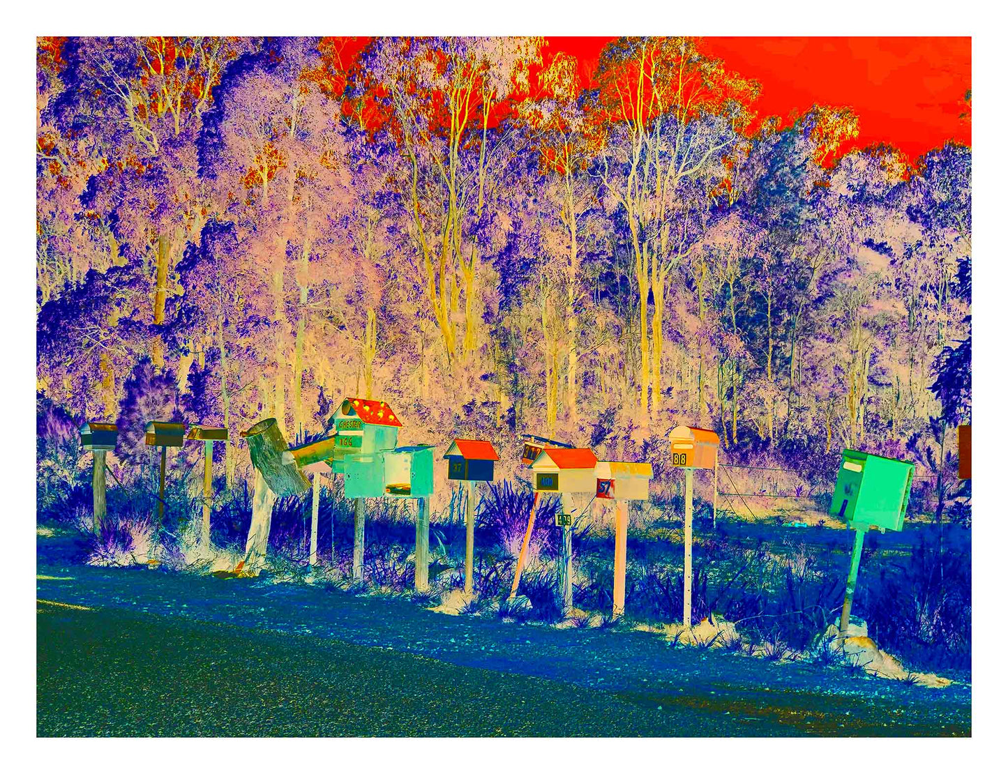 Vivid Country - Halfway Creek The Original In-Boxes - 1631v17 - 104x81.5cm, a vibrant line of quirky rural mailboxes along a country road, framed by a hyper-coloured forest in fuchsia, teal, and fiery orange tones.