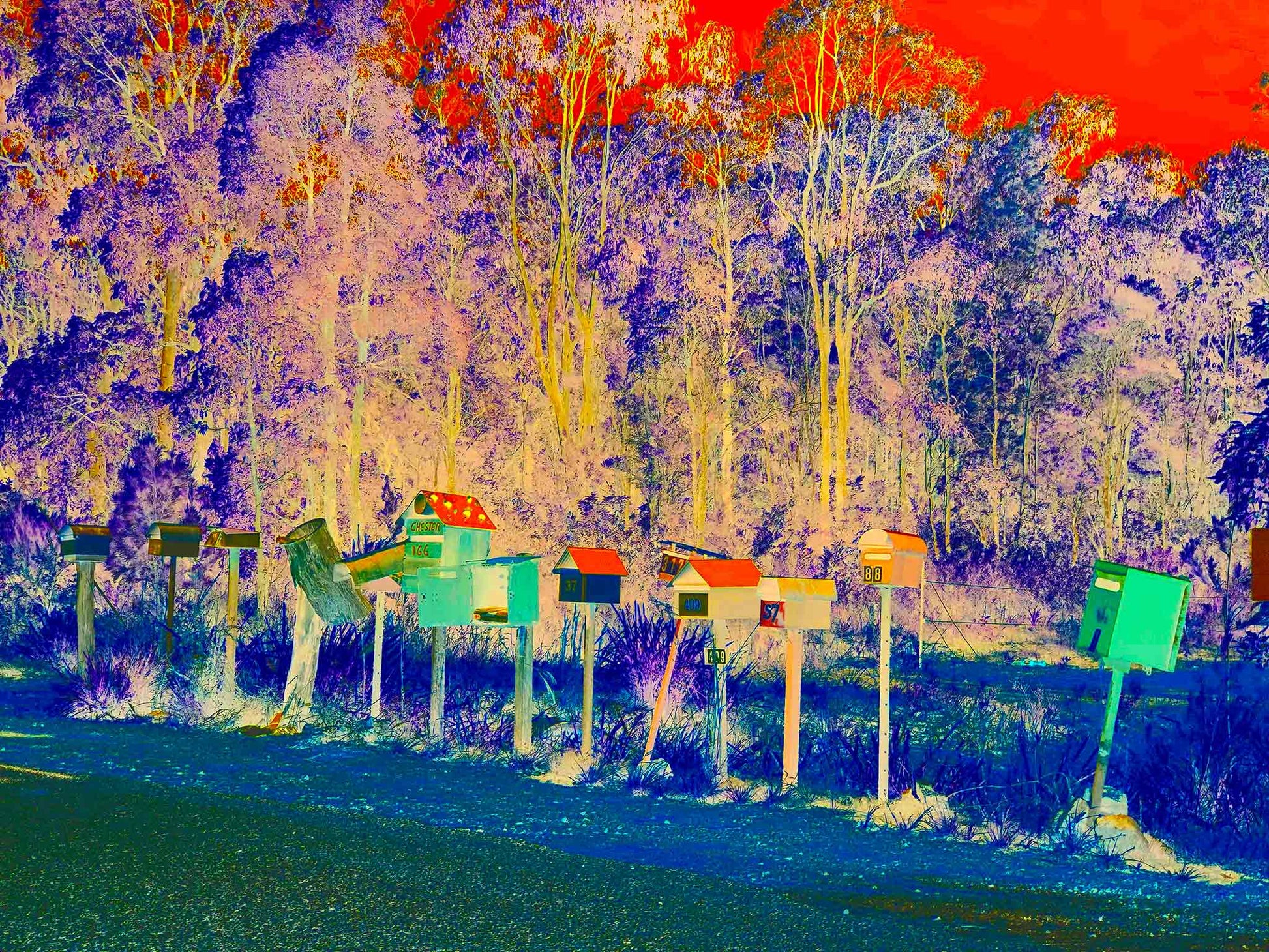 Vivid Country - Halfway Creek The Original In-Boxes - 1631v17 - 90x67.5cm, a vibrant line of quirky rural mailboxes along a country road, framed by a hyper-coloured forest in fuchsia, teal, and fiery orange tones.