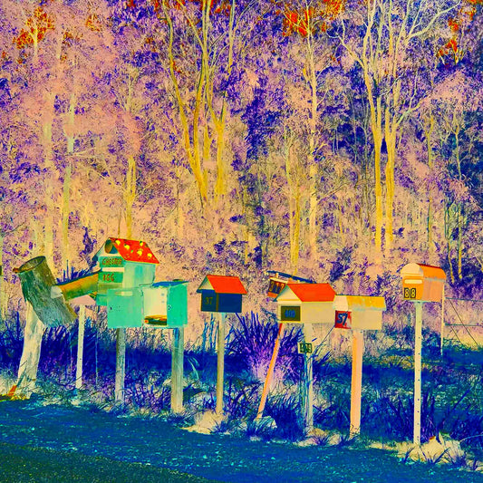 Vivid Country - Halfway Creek The Original In-Boxes - 1631v17 - Close Detail View, a vibrant line of quirky rural mailboxes along a country road, framed by a hyper-coloured forest in fuchsia, teal, and fiery orange tones.
