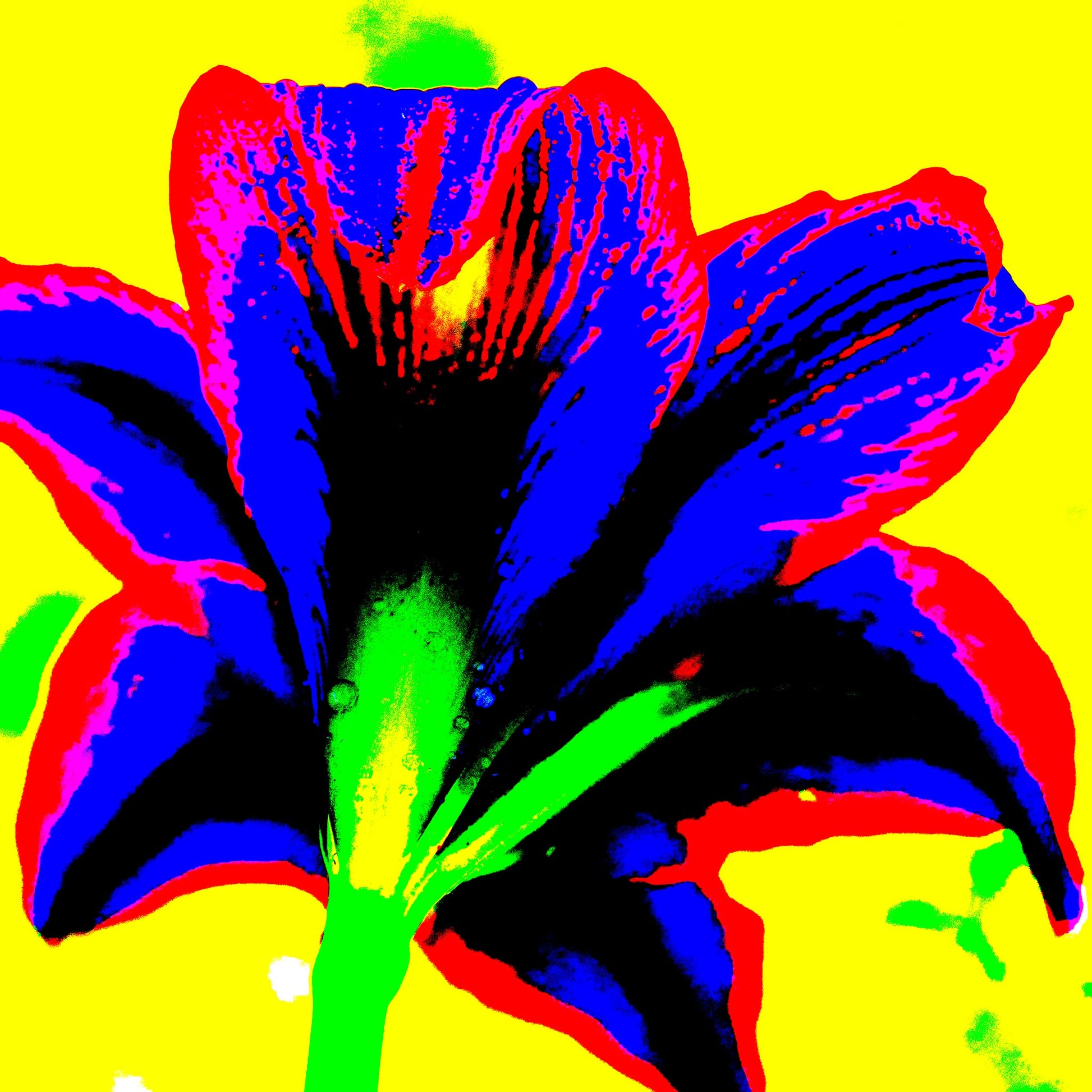 Hippeastrum No.1 - 181910v3 - Close Detail View, Rear view of stylised hippeastrum in bold cobalt blue and red, with green stem and vivid yellow background, digitally rendered in extreme Pop Art colour style.