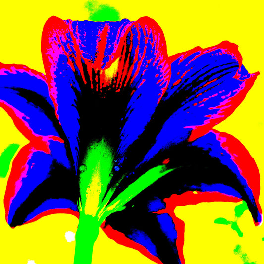 Hippeastrum No.1 - 181910v3 - Close Detail View, Rear view of stylised hippeastrum in bold cobalt blue and red, with green stem and vivid yellow background, digitally rendered in extreme Pop Art colour style.