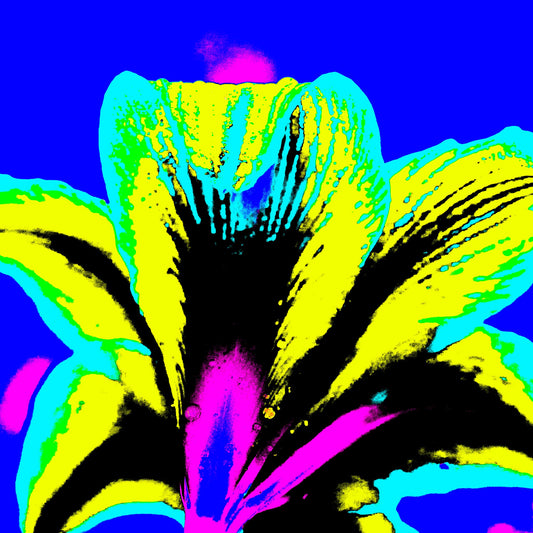 Hippeastrum No.1 - 181910v4 - Close Detail View, Rear view of stylised hippeastrum flower in acid yellow, cyan, and pink, set against a bold cobalt blue background in a saturated Pop Art treatment.
