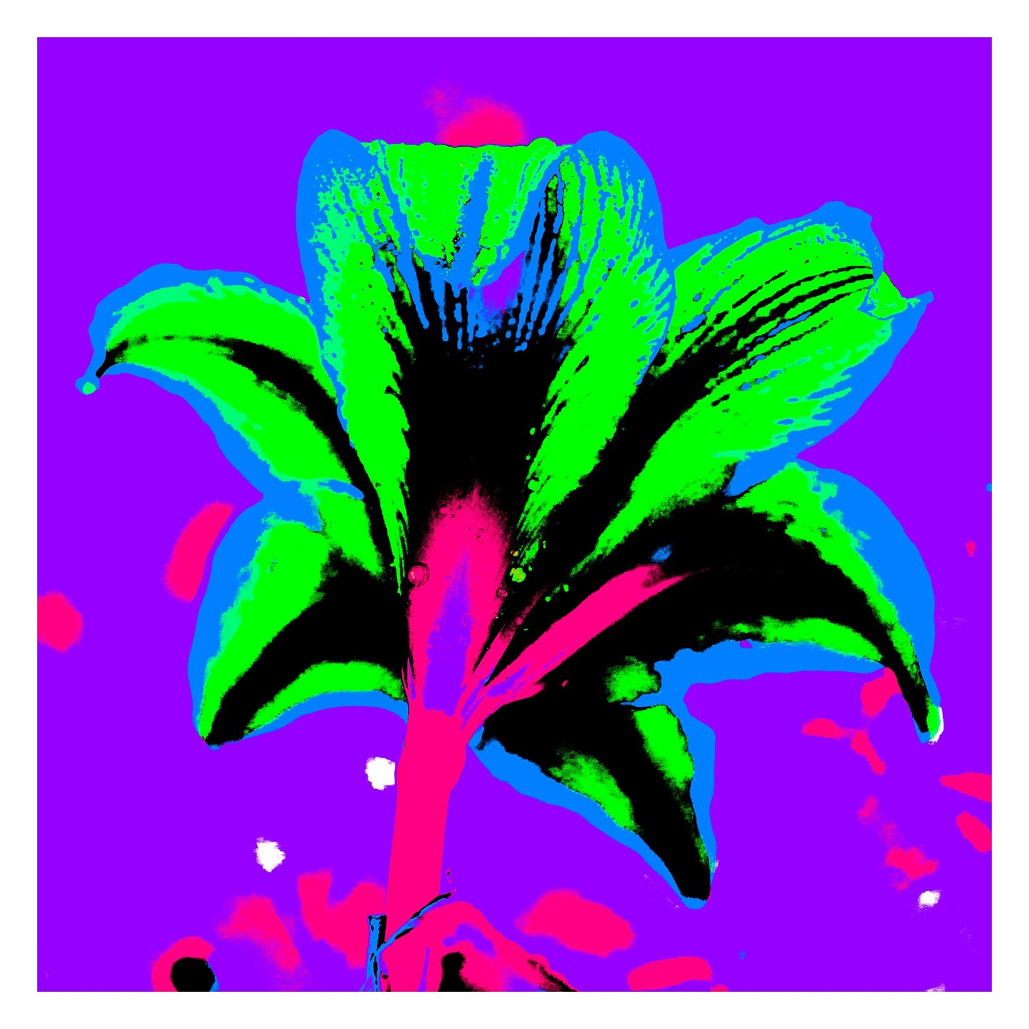 Hippeastrum No.1 - 181910v5 - 104x104cm, Stylised rear view of a hippeastrum in neon green, cyan, and pink against a vivid purple background, digitally rendered in a bold Pop Art style.