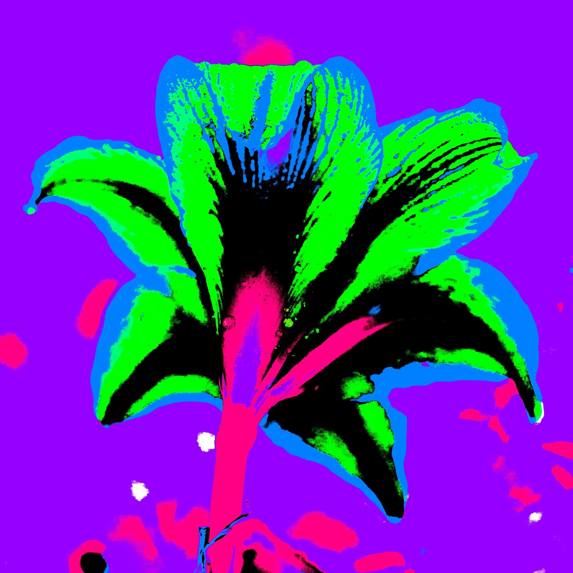 Hippeastrum No.1 - 181910v5 - 90x90cm, Stylised rear view of a hippeastrum in neon green, cyan, and pink against a vivid purple background, digitally rendered in a bold Pop Art style.
