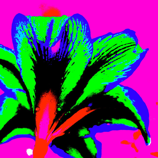 Hippeastrum No.1 - 181910v6 - Close Detail View, Rear view of hippeastrum in neon green, blue, and red against a hot pink background, rendered in extreme Pop Art colour and high-contrast styling.